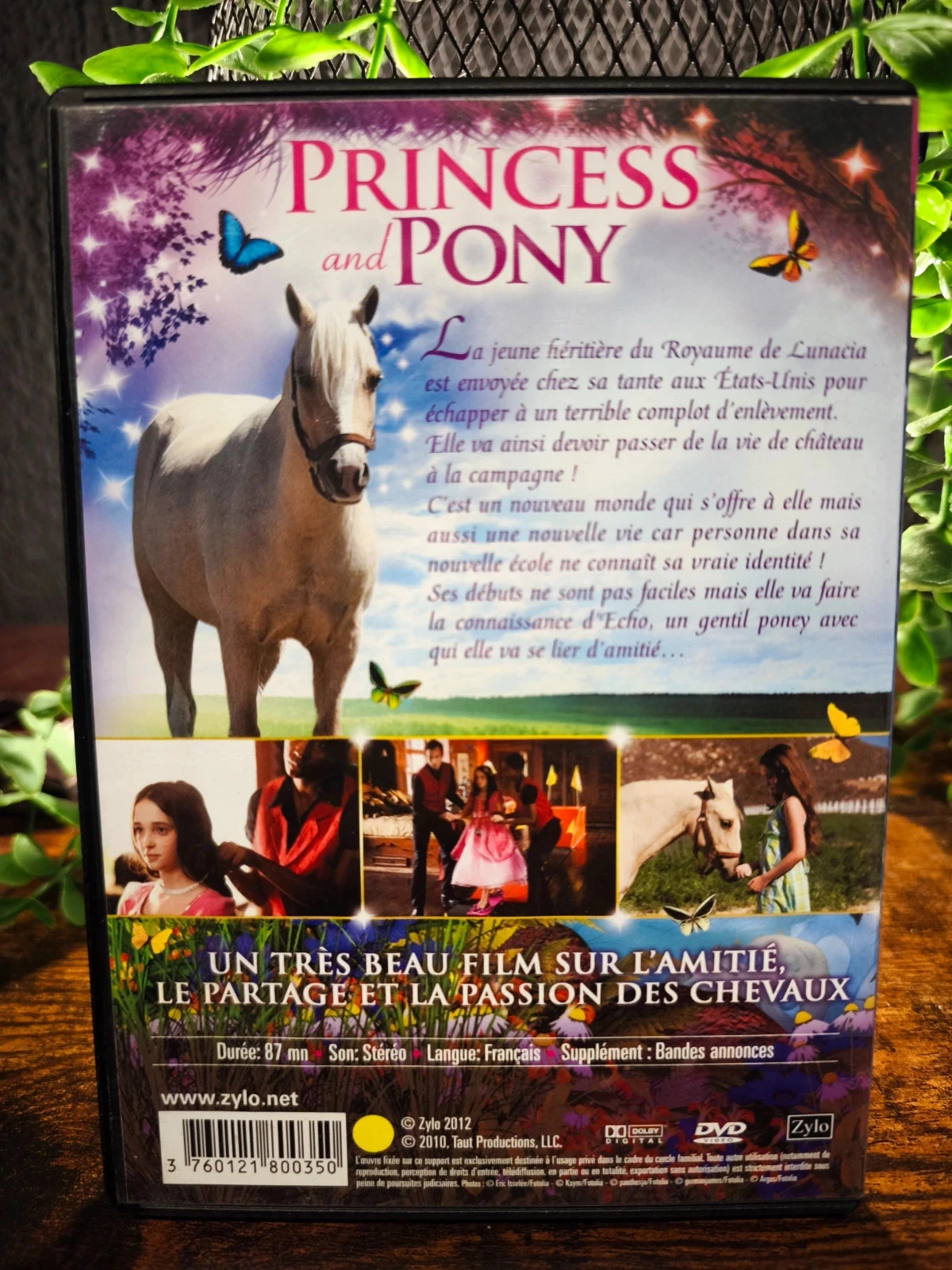 Princess and Pony – photo 2